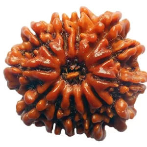 13 Mukhi Rudraksh :- Indra Dev