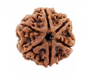 6 Mukhi Rudraksh:- Lord Kartikey