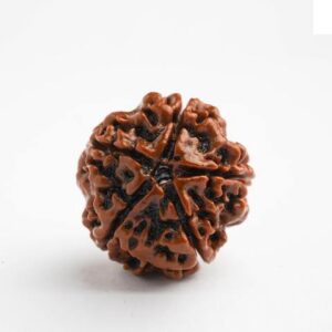 5 Mukhi Rudraksh:- Kalagni
